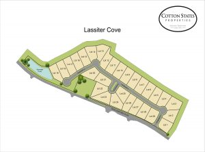 Discover Lassiter Place  New Homes in East Cobb, GA